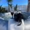 Villa Angel - Exotic Villa 200m From Beach