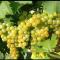 1929 Wine Food Relax Agriturismo