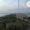 Evergreen Vlas Mamaia Sud