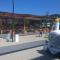 Evergreen Vlas Mamaia Sud