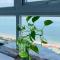 Căn hộ Oasky cạnh biển Bãi Sau - Vũng Tàu