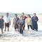 Noels beach homestay