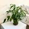 OSapart Comfortable apartment in a complex Great Britain - 利沃夫
