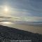 Little Curlew, Ynyslas, Borth - 博斯