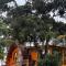 Glamping Shalom