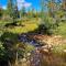 Moose Mtn Lodge/Luxury Cabin/Hot Tub/Fireplace