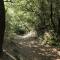 Rural apartment with nice views and shared pool - Montseny