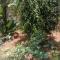 Happy Family Stay with Garden View Casablanca