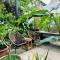 Entire Garden House in Con Dao ! 3BR & 4WC ! Private Yard with Washer & Dryer
