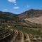 DOURO FAMILY 2BD Apartment