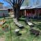 Grand Canyon Ranch Home - Western History - Big city lot - AC!