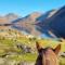 Windsor Cottage on The Big "W" Ranch - Nether Wasdale