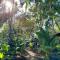 Fully Furnished FAMILY JUNGLE TENT, Latino Glamping Paquera