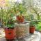 Apartments & rooms Jagoda