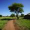 Anantya Serengeti - Serengeti