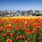 La Costa Escape - Pool, BBQ, Gated Parking
