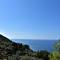 Bellezza In Cilento Panoramic Apts