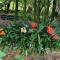 Garden Paradise Siochain House - Carterton