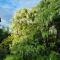Garden Paradise Siochain House - Carterton