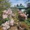 Garden Paradise Siochain House - Carterton