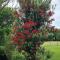 Garden Paradise Siochain House - Carterton