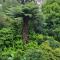 Garden Paradise Siochain House - Carterton