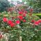 Garden Paradise Siochain House - Carterton