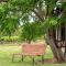 Willunga House - Fireplace Vineyard Views
