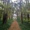 Garden Paradise Siochain House - Carterton