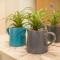 Banner H8 - Grampian Lettings - 阿伯丁
