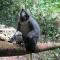 Jungle View Homestay & Guesthouse - Bukit Lawang