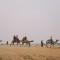 Prince Desert Camp
