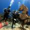 Water World Diving Resort