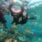 Water World Diving Resort