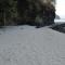 Jeremiah Homestay near Masasa Beach