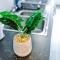 Elegant & Comfortable 1-BR Flat by Amazing Spaces Relocations Ltd - Warrington
