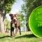 Club del Sole Milano Marittima Boutique Resort