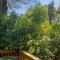 Edelweiss Cabin
