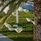 Liana Beach Hotel & Spa