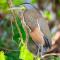 Macaw Villa - Riverfront With A Pool - أوفيتا
