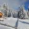 Comfortable apartment near the ski station with parking - Laax