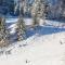 chic t3 60 m2 cosy 1 a 6 personnes rando, nature, bike park, station de ski