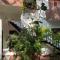 Windy Garden