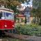 Harzträume No1 # Parkplatz # Altstadt # Brockenbahn - Wernigerode