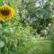 Green Home - La Roche-Guyon - Adults Only