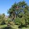 Ferienhaus mit Garten am Bodstedter Bodden