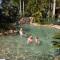 Ashmore Palms Holiday Village