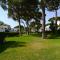 PIVERD Del GOLF 56