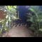 The Hideout - Kampot