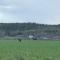 Bergsviksvägen 5, Munkedal